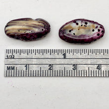 Load image into Gallery viewer, Purple Spine Oyster Shell Oval | 16x10x5 | Purple Orange | 2 Bead(s)