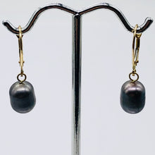 Load image into Gallery viewer, South Sea Pearl Drop 14K Gold Earrings | 1" Long | Silver/Black | 1 Pair |
