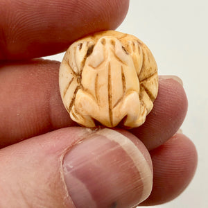 Poised Hand Carved Frog on Lily Pad Bone Bead | 1 Bead | 19x8mm | 7550 - PremiumBead Alternate Image 4