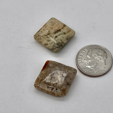 Load image into Gallery viewer, Premium 2 Fossilized Coral 15x15x6mm Diamond Beads 9007