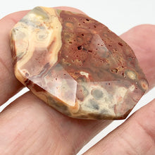 Load image into Gallery viewer, Crazy Lace Agate Carved Pendant Bead | 39x29x9mm | Red White |