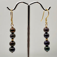 Load image into Gallery viewer, Dramatic Rainbow Red Cocoa Freshwater Pearl 14Kgf Earrings | 1 5/8" Long |