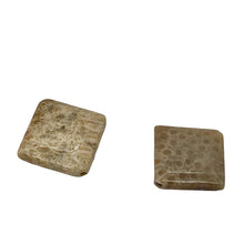 Load image into Gallery viewer, Premium 2 Fossilized Coral 15x15x6mm Diamond Beads 9007