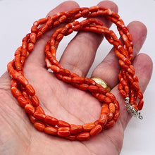 Load image into Gallery viewer, Coral Oval Graduated Bead Necklace | 20" Long | 3x6 to 5x8mm | Red | Necklace |