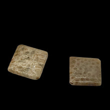 Load image into Gallery viewer, Premium 2 Fossilized Coral 15x15x6mm Diamond Beads 9007