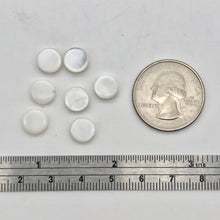 Load image into Gallery viewer, Mississippi White Ebony Shell Coin Beads | 7 Beads | 8x2.5mm | 4336p - PremiumBead Alternate Image 4