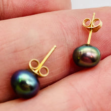 Load image into Gallery viewer, South Sea Black Pearl 14K Stud Earrings | 1/4 inch | Gold | 1 Pair |