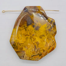Load image into Gallery viewer, Fossilized Wood Irregular Flat Briolette | 52x43x7mm| Tan/Brown | 1 Pendant Bead