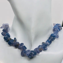 Load image into Gallery viewer, Oregon Holly Blue Chalcedony Agate 76 Grams Nugget Strand| 10x8 15X8 | 62 Bead |