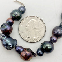 Load image into Gallery viewer, Magnificent!! 2 one of a kind Black Peacock Fireball FW Pearl - PremiumBead Alternate Image 5