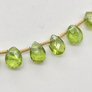 Natural Green Peridot Briolette and 14k GF 17 inch Necklace 203347 - PremiumBead Alternate Image 2
