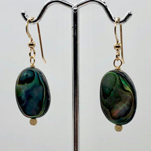 Load image into Gallery viewer, Abalone 14K Gold Filled Drop Earrings | 1 1/4" Long | Blue | 1 Pair Earrings |