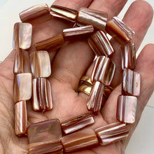 Load image into Gallery viewer, Natural Dark Pink Mussel Shell Bead Strand 104324