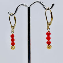Load image into Gallery viewer, AAA Natural Ox Blood Red Coral Solid 14K Gold Earrings 302904C