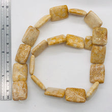 Load image into Gallery viewer, Coral Fossilized Strand Rectangular | 20x15x6 mm | Brown/White | 20 Beads |