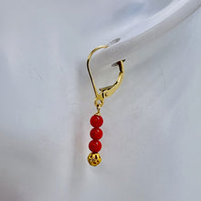 Load image into Gallery viewer, AAA Natural Ox Blood Red Coral Solid 14K Gold Earrings 302904C