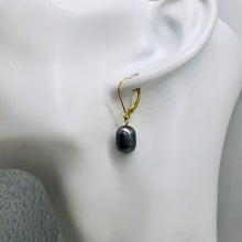 Load image into Gallery viewer, South Sea Pearl Drop 14K Gold Earrings | 1" Long | Silver/Black | 1 Pair |