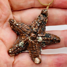 Load image into Gallery viewer, Starfish 14K Gold Filled Starfish Pendant | 2 1/2" Long | Brown White | 1 |