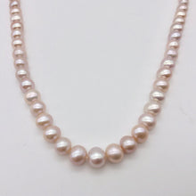 Load image into Gallery viewer, Lovely! Natural Peach Freshwater Pearl 16" Strand Graduated 6mm to 8mm 110811B - PremiumBead Primary Image 1