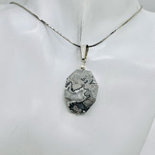 Load image into Gallery viewer, Picasso Jasper Sterling Silver Drop/Dangle | 1 1/2" Long | Gray/Black | 1 Pendant