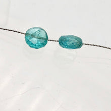 Load image into Gallery viewer, Fab 1 Aqua Green Apatite 7 to 8mm Faceted Coin Bead 3930C - PremiumBead Alternate Image 8