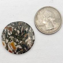 Load image into Gallery viewer, Moss Agate 24mm Disc Pendant Bead 4848Bp - PremiumBead Alternate Image 4