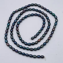Load image into Gallery viewer, Rainbow Metalic Peacock FW Pearl Strand 101062