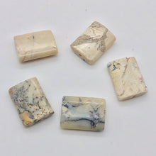 Load image into Gallery viewer, 5 Perfect Pillow African Opal 20x15x5mm Beads 003510 - PremiumBead Primary Image 1