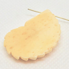 Load image into Gallery viewer, Nautilus Bone Bead 35x21x4mm 10350 - PremiumBead Alternate Image 2