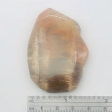 Load image into Gallery viewer, Fossilized Wood Irregular Flat Briolette| 47x40x7mm|Orange/Black| 1 Pendant Bead