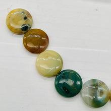Load image into Gallery viewer, Ocean Jasper Graduated Round | 25x8 to 23x8 mm | Multi-color | 17 Beads |