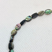 Load image into Gallery viewer, 13 Gorgeous! Abalone Oval Coin Beads 004556 - PremiumBead Alternate Image 2