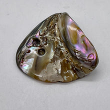 Load image into Gallery viewer, Abalone Hinge Shell | 1 Pendant Bead |