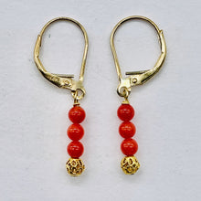 Load image into Gallery viewer, AAA Natural Ox Blood Red Coral Solid 14K Gold Earrings 302904C