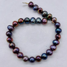 Load image into Gallery viewer, Premium Rainbow Peacock 8x7mm FW Pearl 8 inch Strand 002271HS