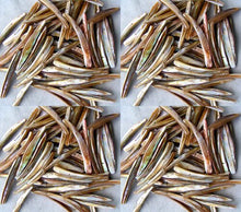 Load image into Gallery viewer, 20 Bronze Mussel Shell Double Drill Plank Beads 008096 - PremiumBead Primary Image 1