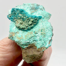 Load image into Gallery viewer, Stunning Dioptase on Chrysocolla Display Specimen | 2.25x1.5x.75" | Green | - PremiumBead Alternate Image 2