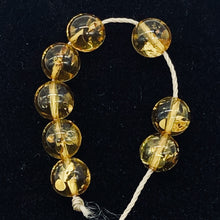 Load image into Gallery viewer, Amber Round Beads | 6 1/2 mm | Yellow | 8 Beads |