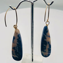Load image into Gallery viewer, Sodalite 14K Gold Filled Teardrop Earrings | 3" Long | Blue/Pink | 1 Pair |