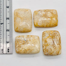 Load image into Gallery viewer, Coral Fossilized Half Strand Rectangular Beads|20x15x6 mm| Brown/White|10 Beads|