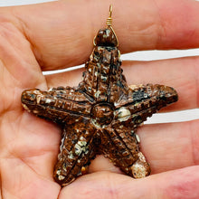 Load image into Gallery viewer, Starfish 14K Gold Filled Starfish Pendant | 2 1/2&quot; Long | Brown White | 1 |
