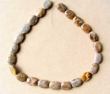 Load image into Gallery viewer, Stellar 3 Fossilized Coral Cameo Cut Beads 7384A - PremiumBead Alternate Image 3