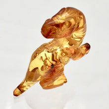 Load image into Gallery viewer, Amber Tyranosaurus Rex | 39x22x12 | Amber | 1 Figurine