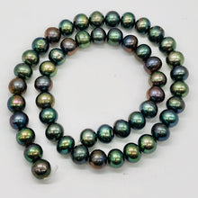 Load image into Gallery viewer, Fresh Water Pearl Strand Round | 9 mm | Blue/Bronze | 50 Beads |