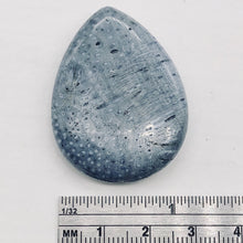 Load image into Gallery viewer, Coral Fossilized Teardrop | 40x30x8 mm | Blue | 2 Pendant Beads |
