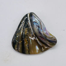 Load image into Gallery viewer, Abalone Hinge Shell | 38x42x12to 36x38x11mm | Silver Pink | 1 Pendant Bead |
