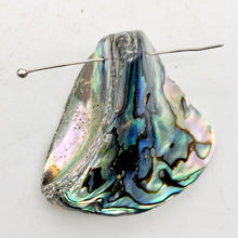 Load image into Gallery viewer, One! Natural Abalone Fan Shaped Pendant 45x35mm Bead - PremiumBead Alternate Image 8