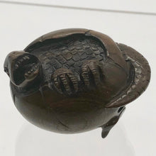 Load image into Gallery viewer, Escaping the Egg Lizard Teak Ojime/Netsuke Bead - PremiumBead Alternate Image 4