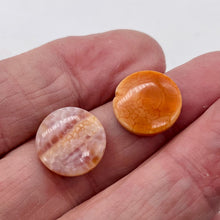 Load image into Gallery viewer, Snakeskin/Crab Fire Agate Focal Bead Strand 108958