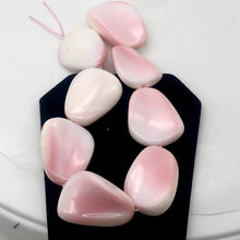 Load image into Gallery viewer, Conch Shell. Pear Shaped | 27x19x8 to 28x22x9 | Pink White | 14 to 17 Bead(s)